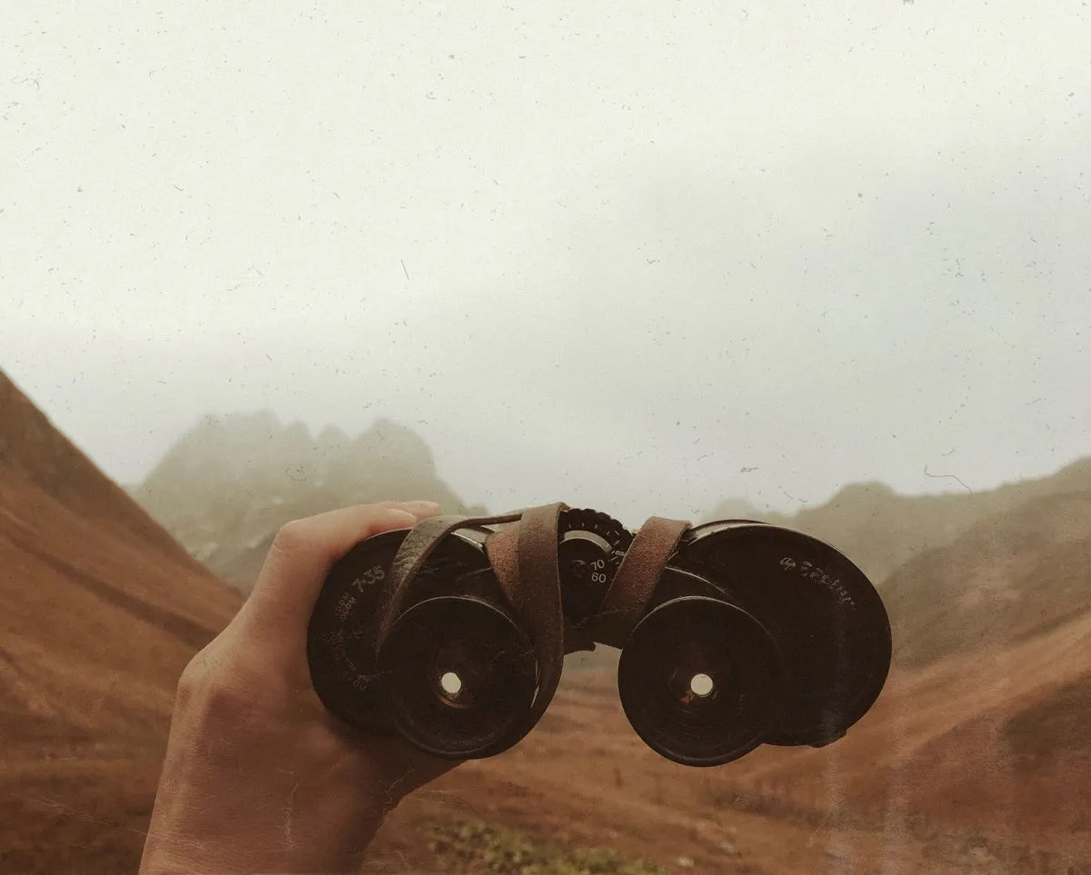 A traveller scanning a remote landscape through binoculars